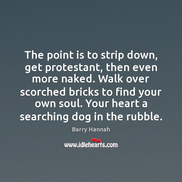 The point is to strip down, get protestant, then even more naked. Barry Hannah Picture Quote
