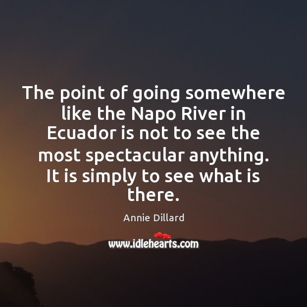 The point of going somewhere like the Napo River in Ecuador is Annie Dillard Picture Quote