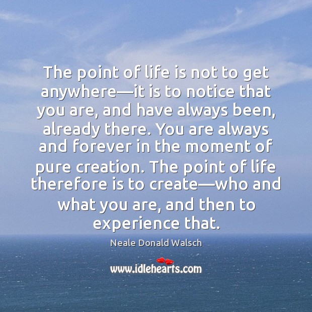 The point of life is not to get anywhere—it is to Neale Donald Walsch Picture Quote