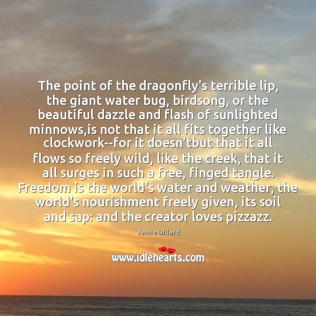 The point of the dragonfly’s terrible lip, the giant water bug, birdsong, Annie Dillard Picture Quote