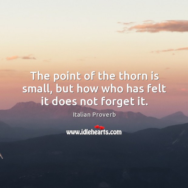 The point of the thorn is small, but how who has felt it does not forget it. Image