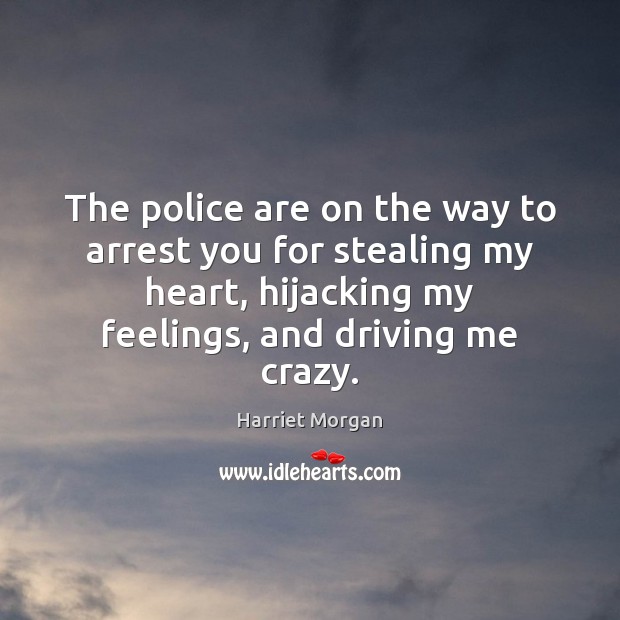 The police are on the way to arrest you for stealing my Harriet Morgan Picture Quote