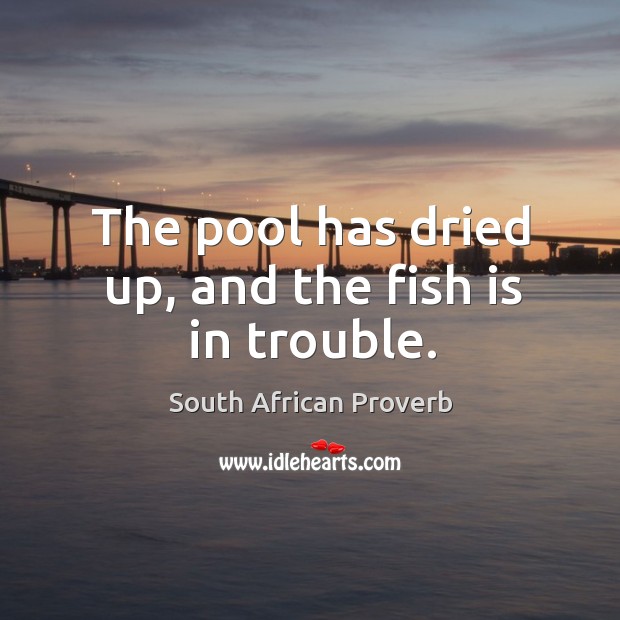 The pool has dried up, and the fish is in trouble. South African Proverbs Image