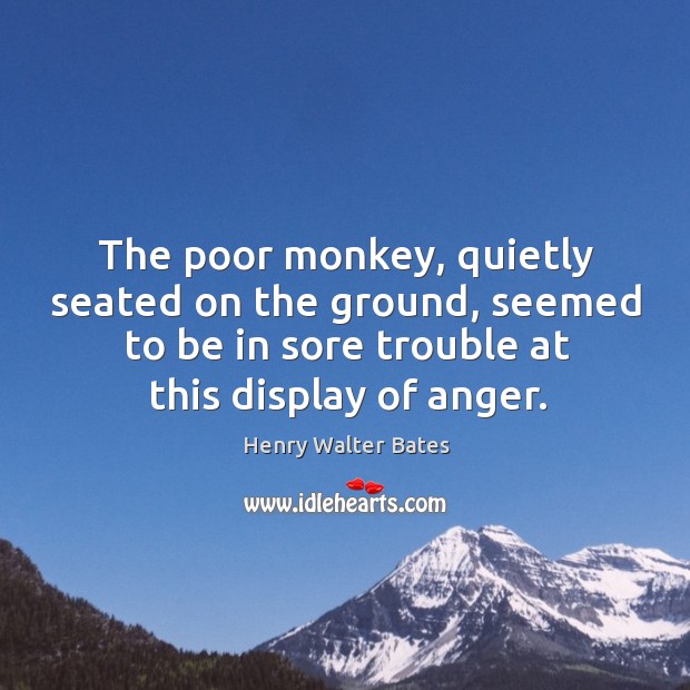 The poor monkey, quietly seated on the ground, seemed to be in sore trouble at this display of anger. Henry Walter Bates Picture Quote