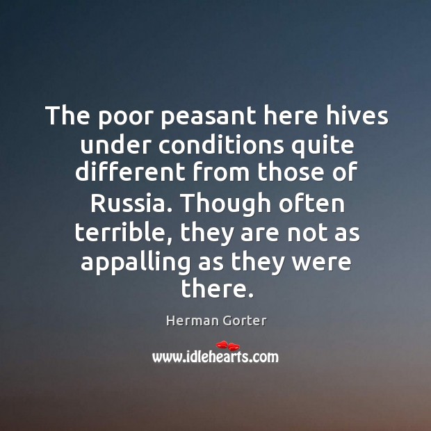 The poor peasant here hives under conditions quite different from those of russia. Herman Gorter Picture Quote
