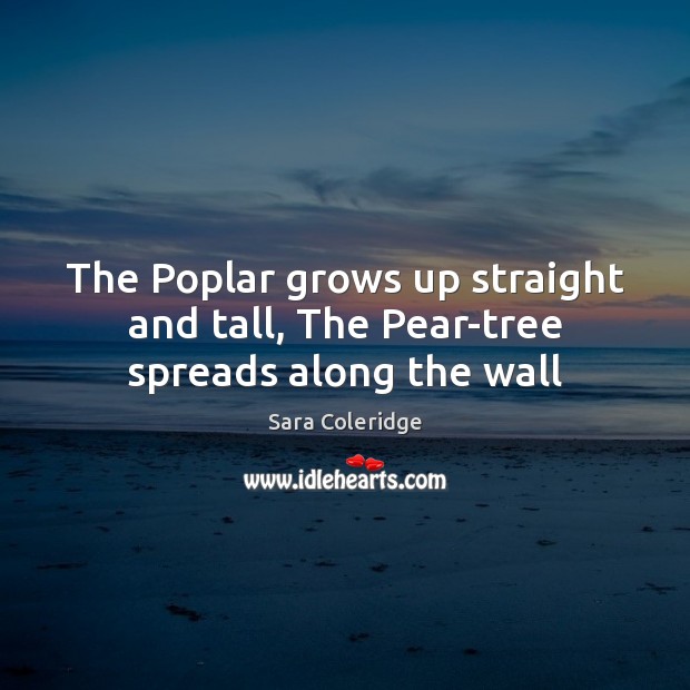 The Poplar grows up straight and tall, The Pear-tree spreads along the wall Sara Coleridge Picture Quote