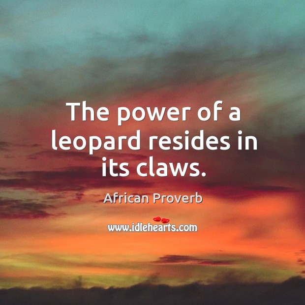 The power of a leopard resides in its claws. Image