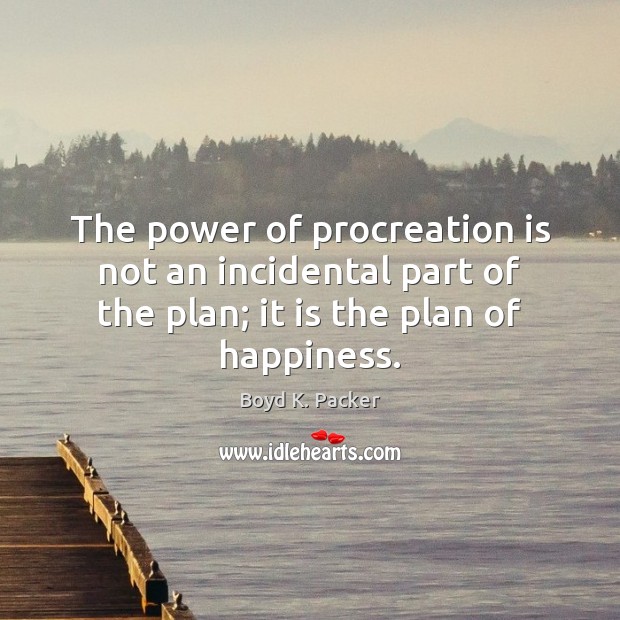 The power of procreation is not an incidental part of the plan; Boyd K. Packer Picture Quote