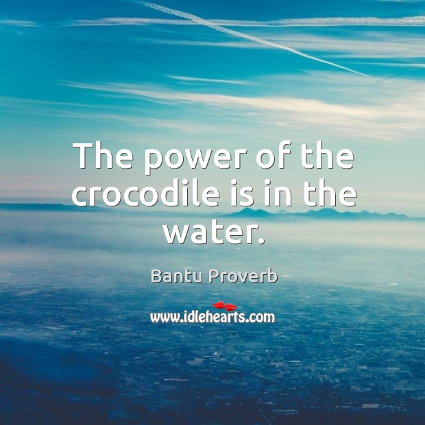 The power of the crocodile is in the water. Bantu Proverbs Image