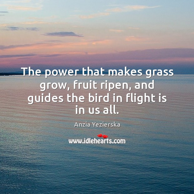 The power that makes grass grow, fruit ripen, and guides the bird in flight is in us all. Anzia Yezierska Picture Quote