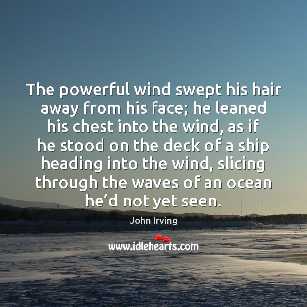 The powerful wind swept his hair away from his face; he leaned Image