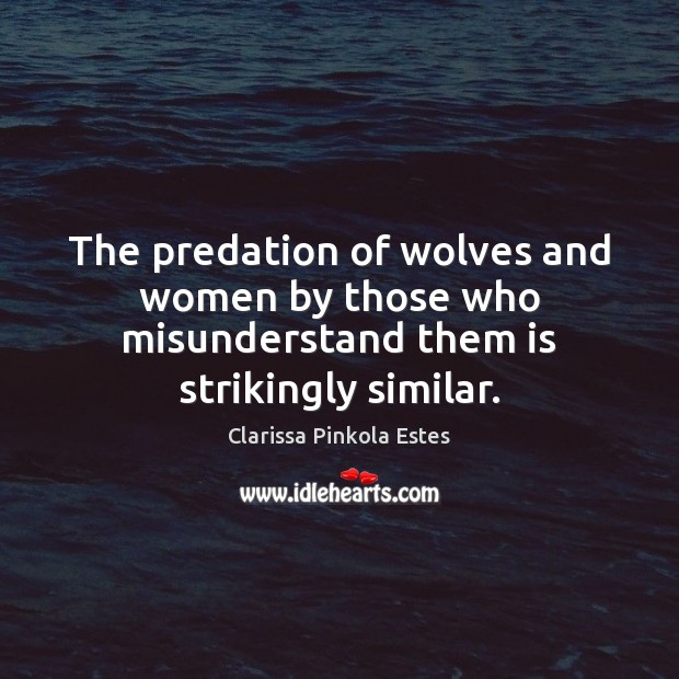 The predation of wolves and women by those who misunderstand them is strikingly similar. Clarissa Pinkola Estes Picture Quote