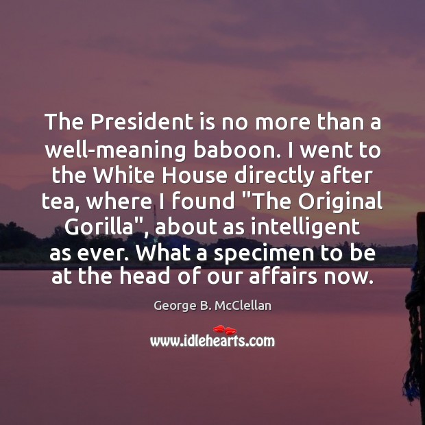 The President is no more than a well-meaning baboon. I went to George B. McClellan Picture Quote