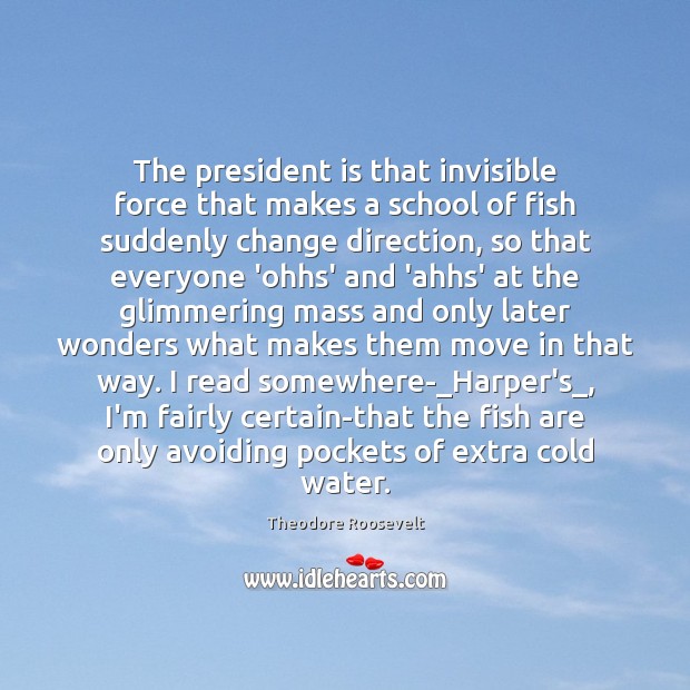 The president is that invisible force that makes a school of fish Theodore Roosevelt Picture Quote