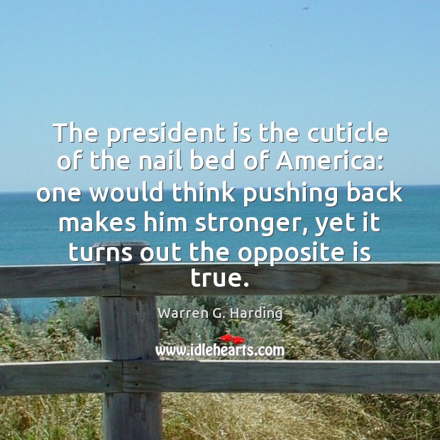 The president is the cuticle of the nail bed of America: one Warren G. Harding Picture Quote