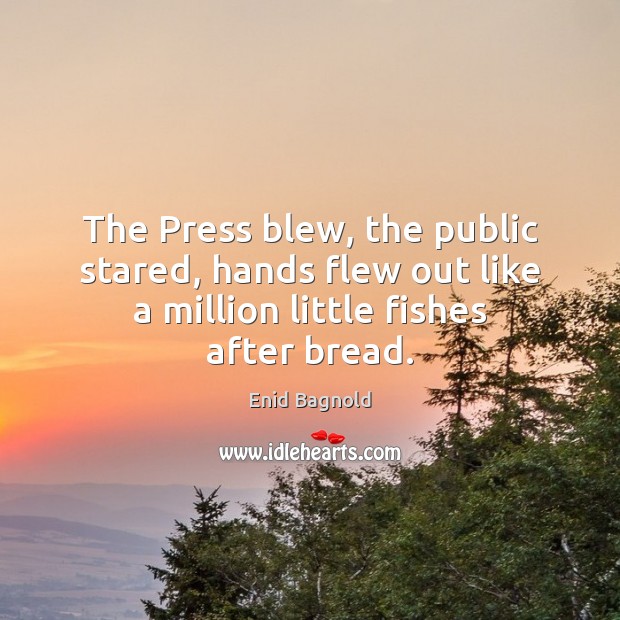 The Press blew, the public stared, hands flew out like a million Enid Bagnold Picture Quote