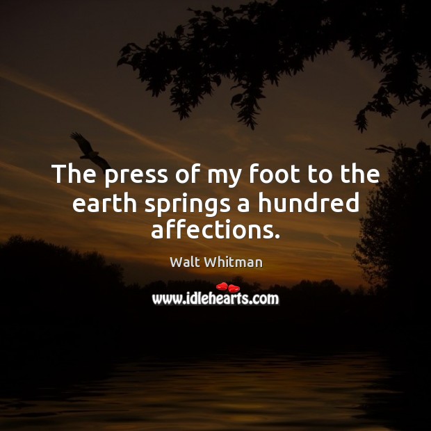 The press of my foot to the earth springs a hundred affections. Walt Whitman Picture Quote
