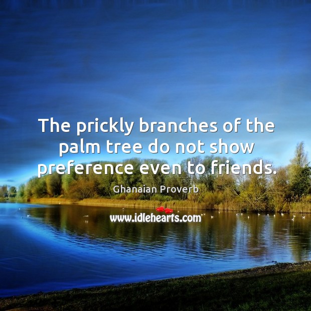 The prickly branches of the palm tree do not show preference even to friends. Ghanaian Proverbs Image