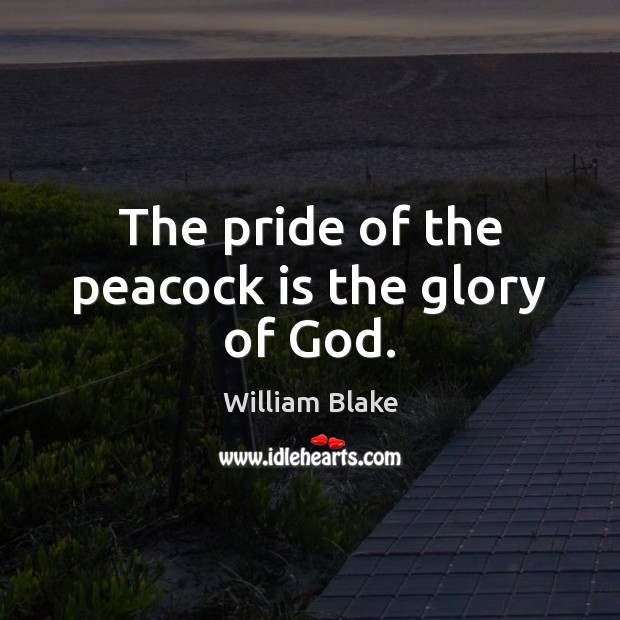 The pride of the peacock is the glory of God. William Blake Picture Quote