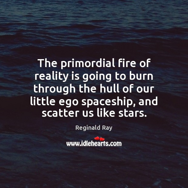 The primordial fire of reality is going to burn through the hull Reginald Ray Picture Quote