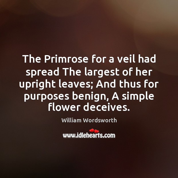 The Primrose for a veil had spread The largest of her upright William Wordsworth Picture Quote