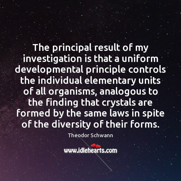 The principal result of my investigation is that a uniform developmental principle 