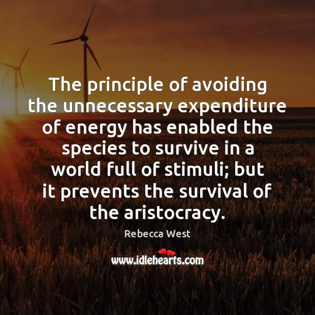 The principle of avoiding the unnecessary expenditure of energy has enabled the Image