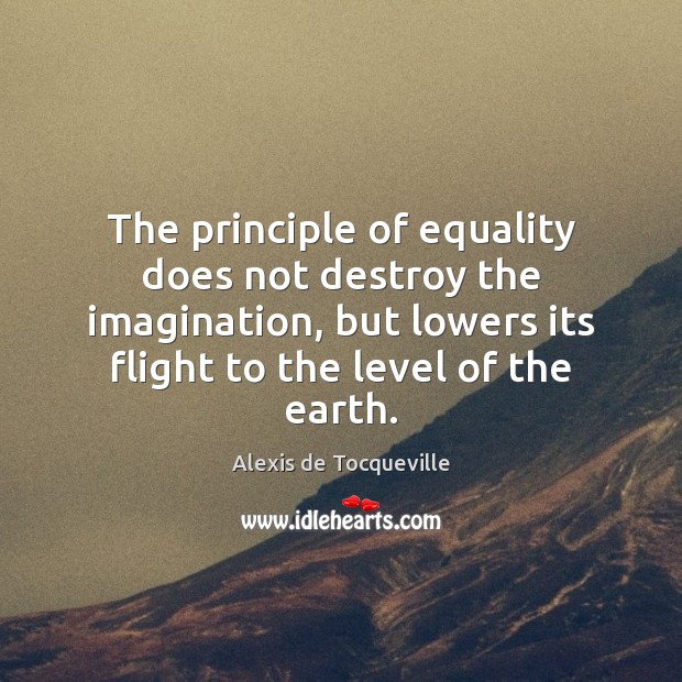 The principle of equality does not destroy the imagination, but lowers its Alexis de Tocqueville Picture Quote