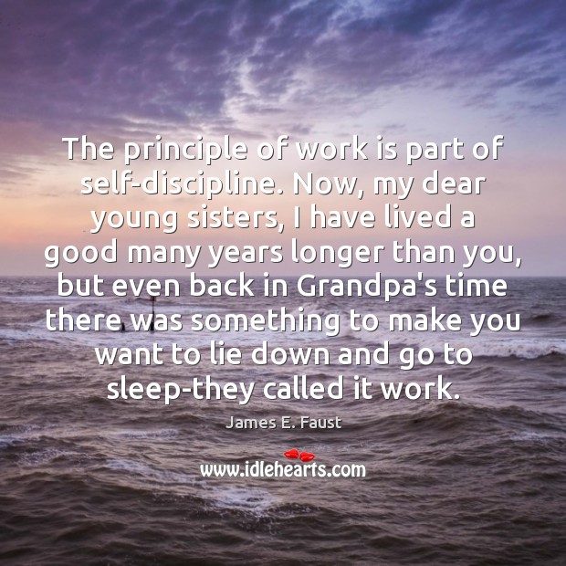 The principle of work is part of self-discipline. Now, my dear young James E. Faust Picture Quote