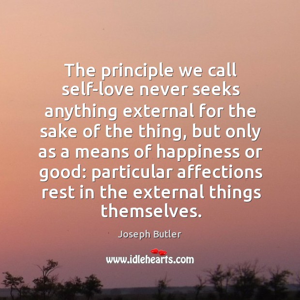 The principle we call self-love never seeks anything external for the sake of the thing Joseph Butler Picture Quote