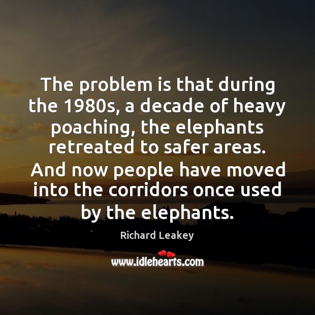 The problem is that during the 1980s, a decade of heavy poaching, Richard Leakey Picture Quote