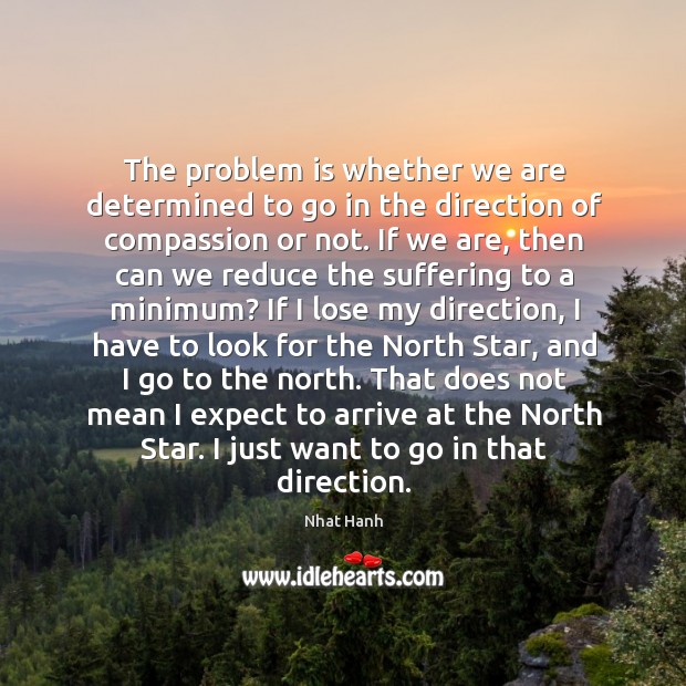 The problem is whether we are determined to go in the direction Nhat Hanh Picture Quote