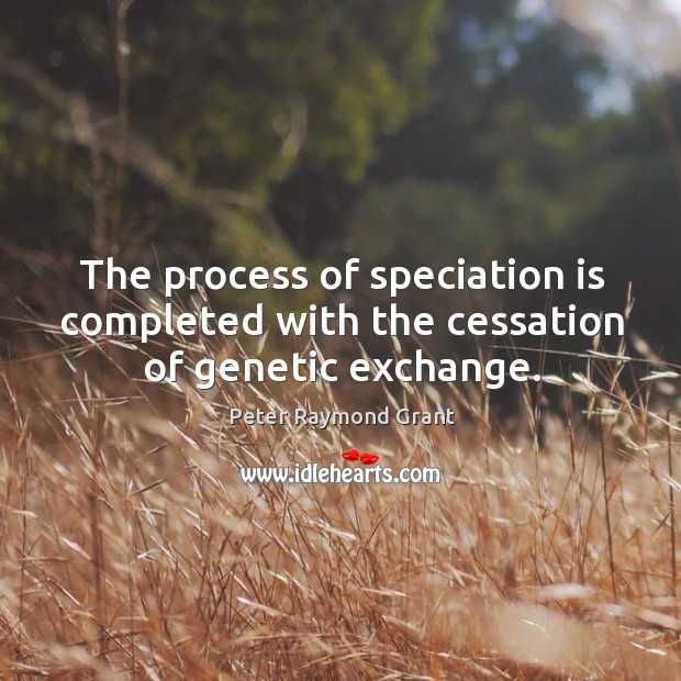 The process of speciation is completed with the cessation of genetic exchange. Peter Raymond Grant Picture Quote