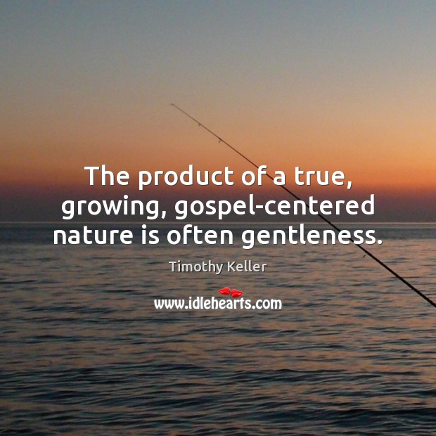The product of a true, growing, gospel-centered nature is often gentleness. Timothy Keller Picture Quote