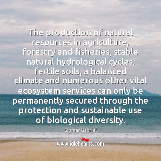 The production of natural resources in agriculture, forestry and fisheries, stable natural Sigmar Gabriel Picture Quote