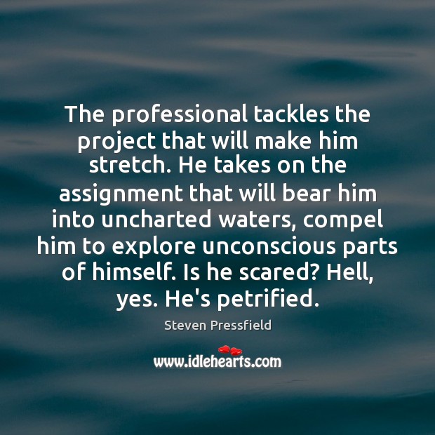 The professional tackles the project that will make him stretch. He takes Steven Pressfield Picture Quote