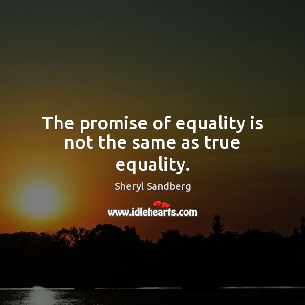 The promise of equality is not the same as true equality. Equality Quotes Image