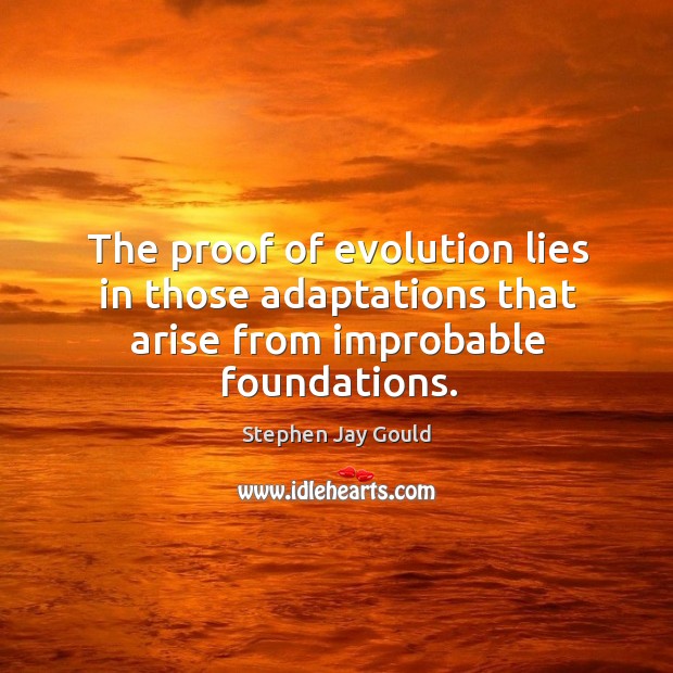 The proof of evolution lies in those adaptations that arise from improbable foundations. Image