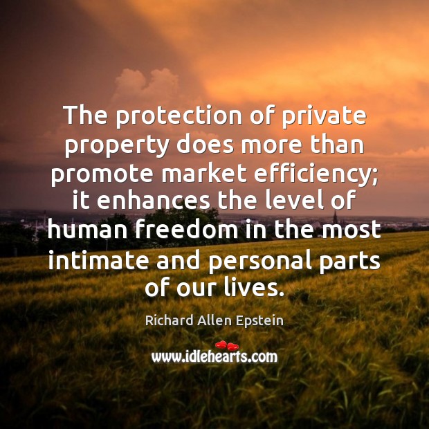 The protection of private property does more than promote market efficiency; it Richard Allen Epstein Picture Quote