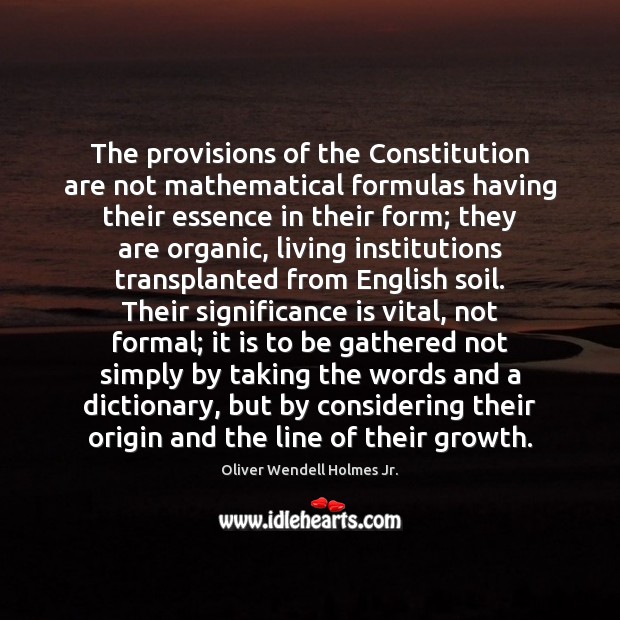 The provisions of the Constitution are not mathematical formulas having their essence Image