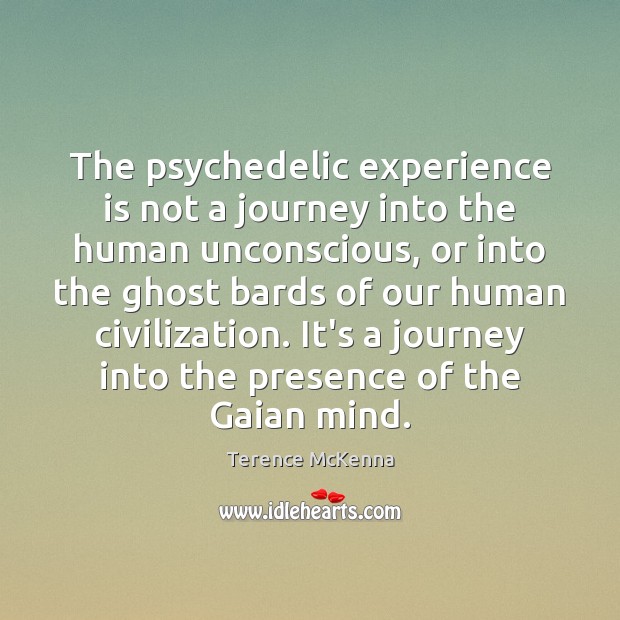 The psychedelic experience is not a journey into the human unconscious, or Image