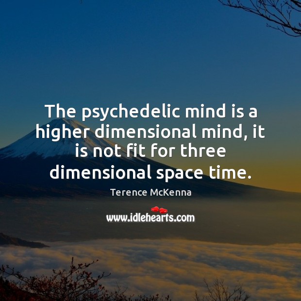 The psychedelic mind is a higher dimensional mind, it is not fit Image