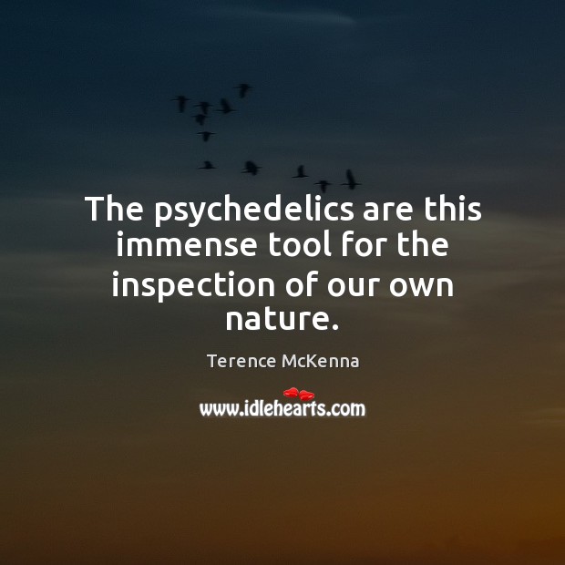 The psychedelics are this immense tool for the inspection of our own nature. Terence McKenna Picture Quote