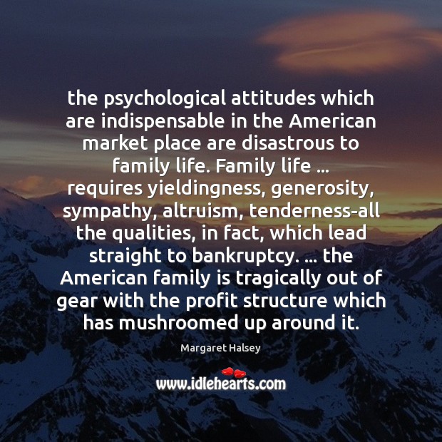 The psychological attitudes which are indispensable in the American market place are Image