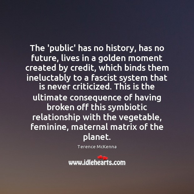 The ‘public’ has no history, has no future, lives in a golden Terence McKenna Picture Quote
