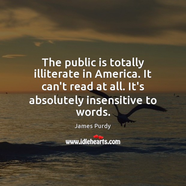 The public is totally illiterate in America. It can’t read at all. James Purdy Picture Quote