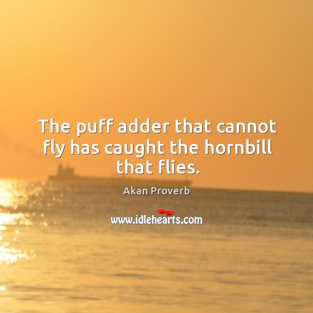 The puff adder that cannot fly has caught the hornbill that flies. Akan Proverbs Image