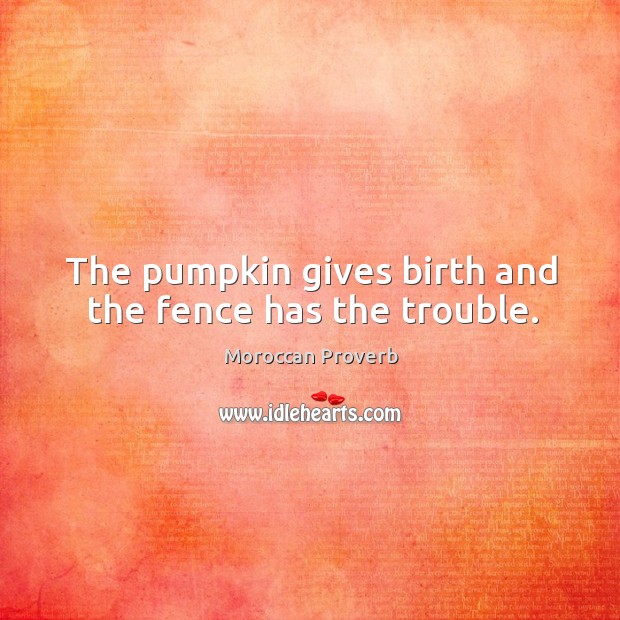 The pumpkin gives birth and the fence has the trouble. Moroccan Proverbs Image