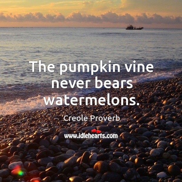 The pumpkin vine never bears watermelons. Creole Proverbs Image