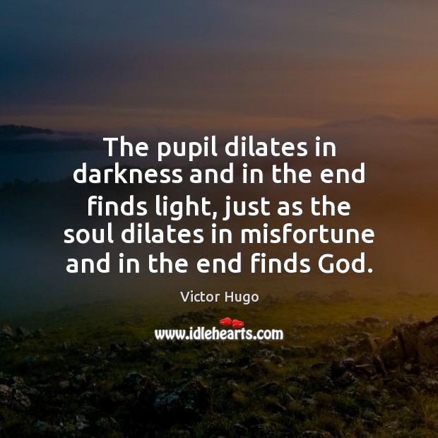 The pupil dilates in darkness and in the end finds light, just Image